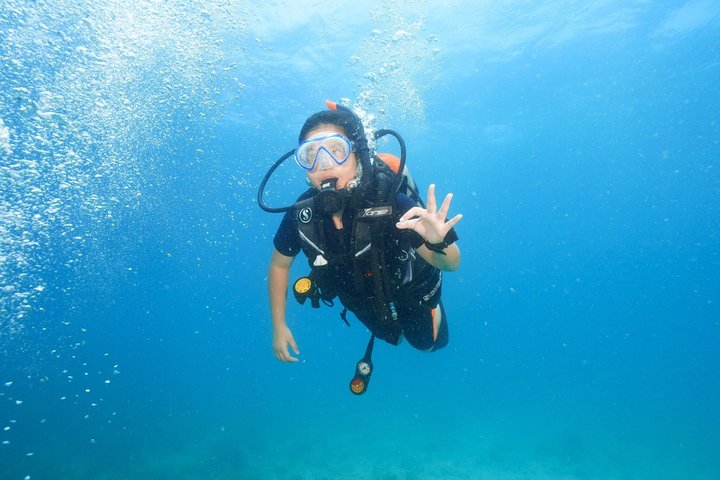 Padi open water diver course, become a diver in 3 days