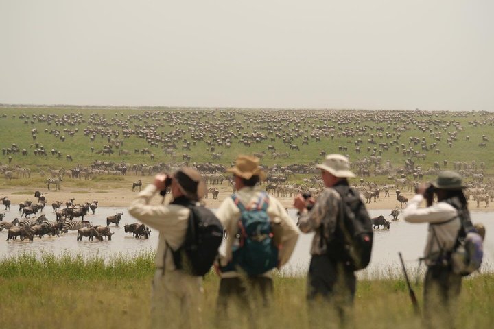 Full Day Game Drive in Serengeti National Park from Zanzibar