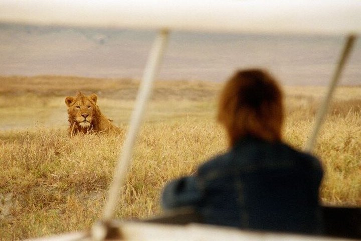 Full Day Game Drive in Serengeti National Park from Zanzibar