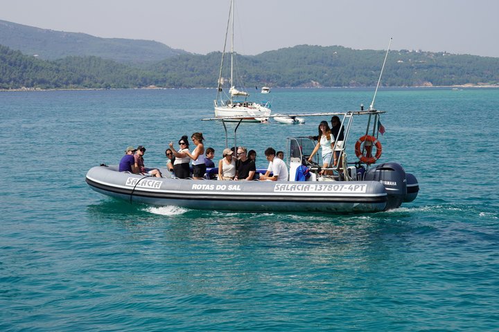 Observation of Dolphins in Setúbal