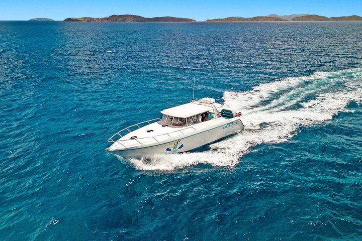 Snorkel St. John Tour from Sapphire and Margaritaville