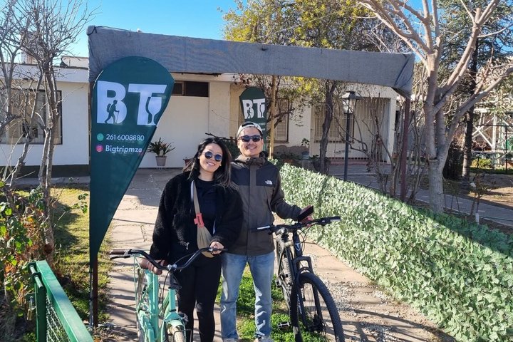 Bike Tour with Winery and Olivicola Tastings