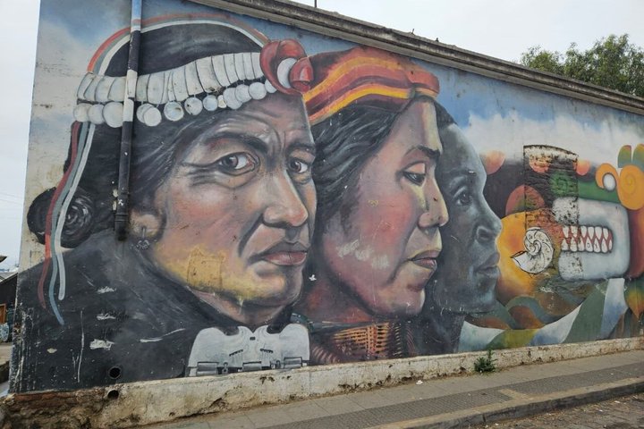 Walking Tour at Valparaiso and Viña with Lunch Starts in Santiago