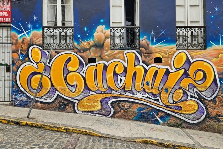 Walking Tour at Valparaiso and Viña with Lunch Starts in Santiago