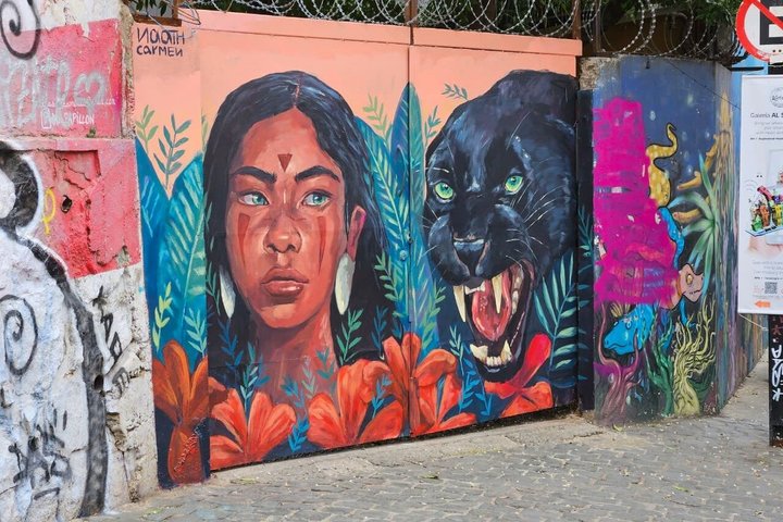 Walking Tour at Valparaiso and Viña with Lunch Starts in Santiago