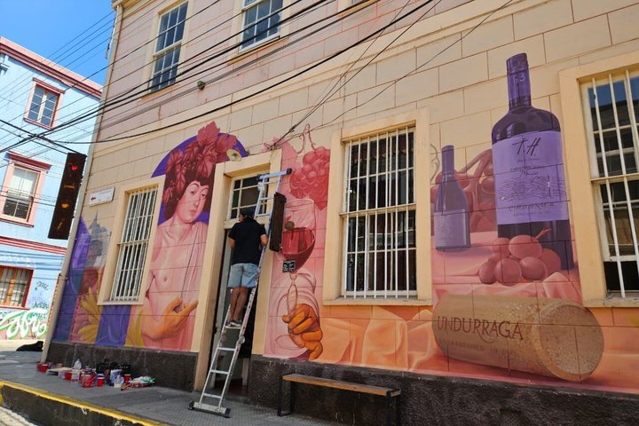 Walking Tour at Valparaiso and Viña with Lunch Starts in Santiago