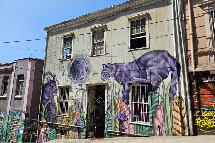 Walking Tour at Valparaiso and Viña with Lunch Starts in Santiago