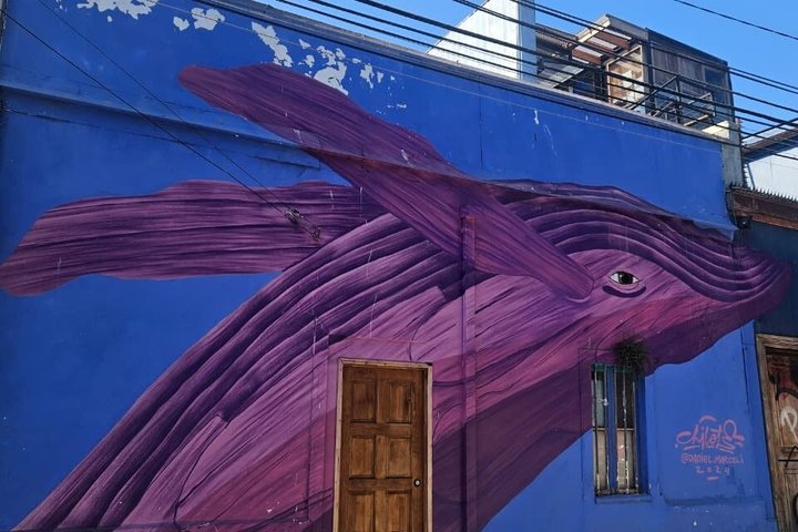 Walking Tour at Valparaiso and Viña with Lunch Starts in Santiago