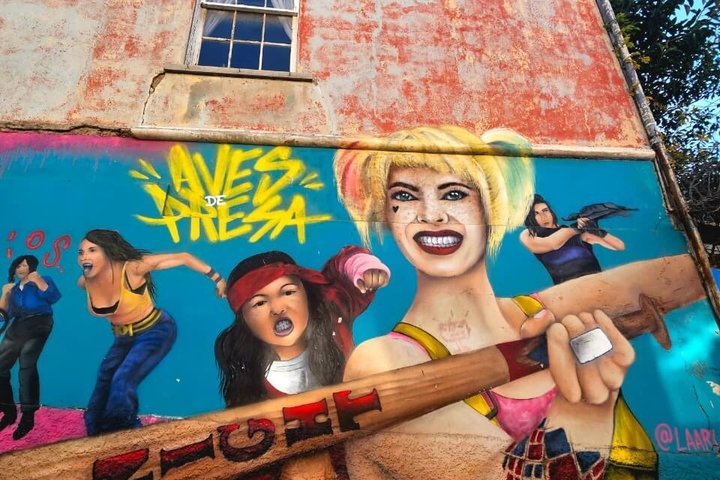 Walking Tour at Valparaiso and Viña with Lunch Starts in Santiago