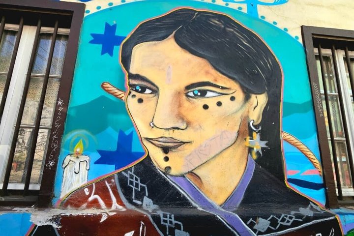Walking Tour at Valparaiso and Viña with Lunch Starts in Santiago