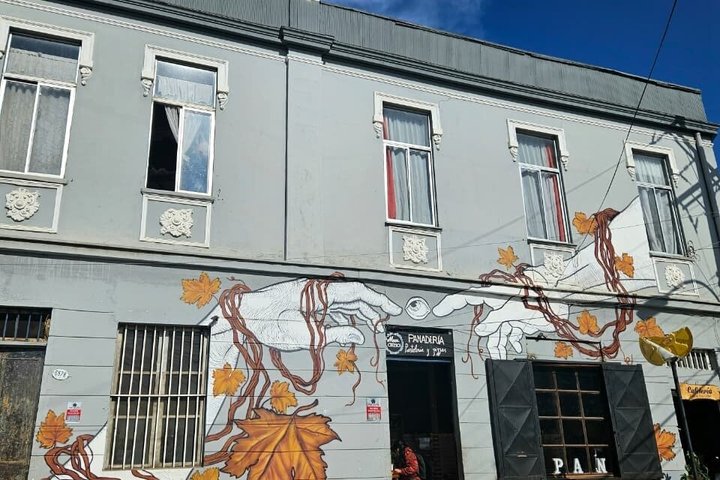 Walking Tour at Valparaiso and Viña with Lunch Starts in Santiago
