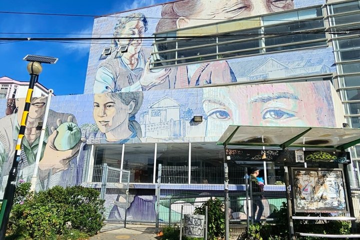 Walking Tour at Valparaiso and Viña with Lunch Starts in Santiago