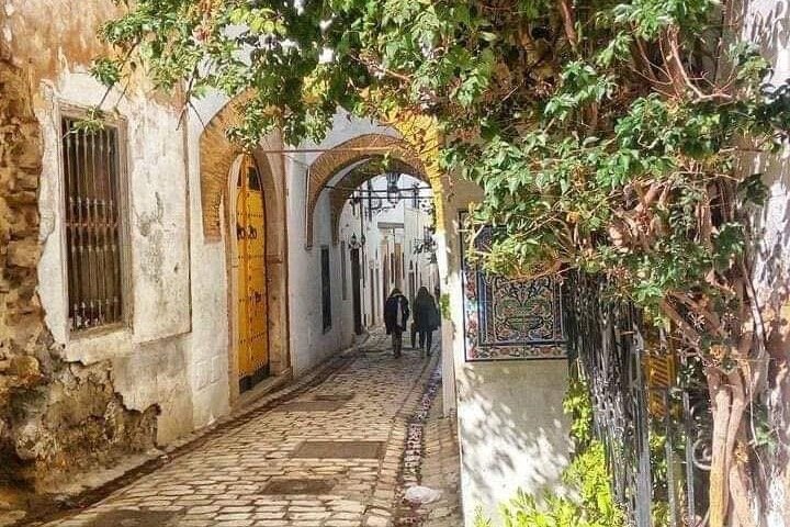 Tunis Carthage and Sidi Bou Said Private Full Day Experience