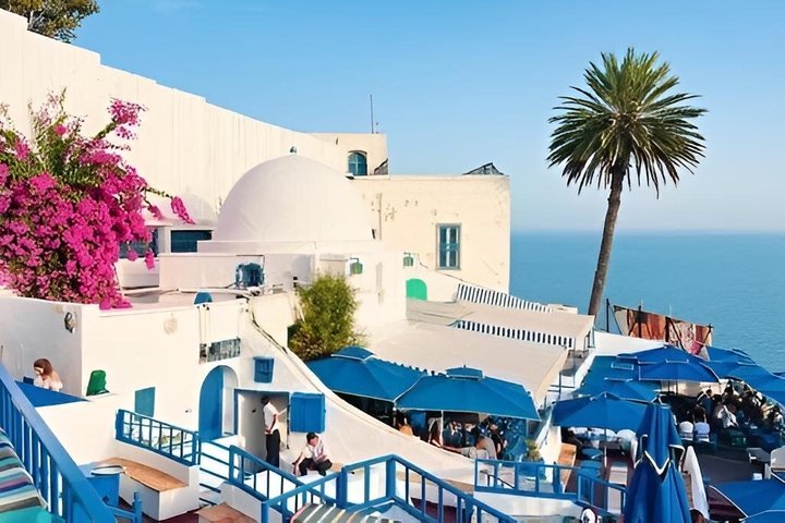 Tunis Carthage and Sidi Bou Said Private Full Day Experience