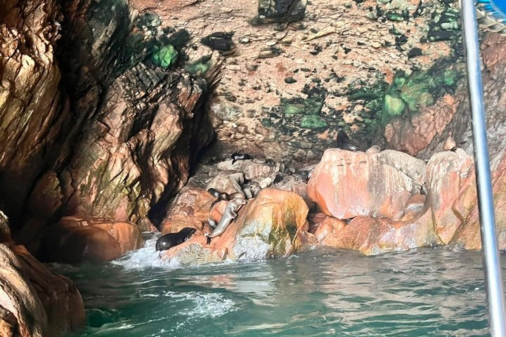 Ballestas Islands excursion from Paracas