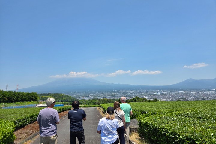 All-about Mt.Fuji Short Tour from Shimizu Port