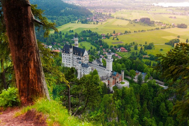 Neuschwanstein Castle Entry Ticket