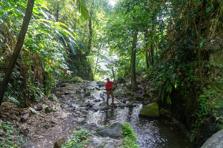 Dark View Falls with Sammy Taxi and Tours