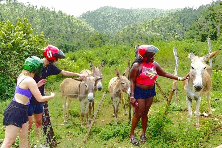 ATV Jungle Safari Tour from Montego Bay