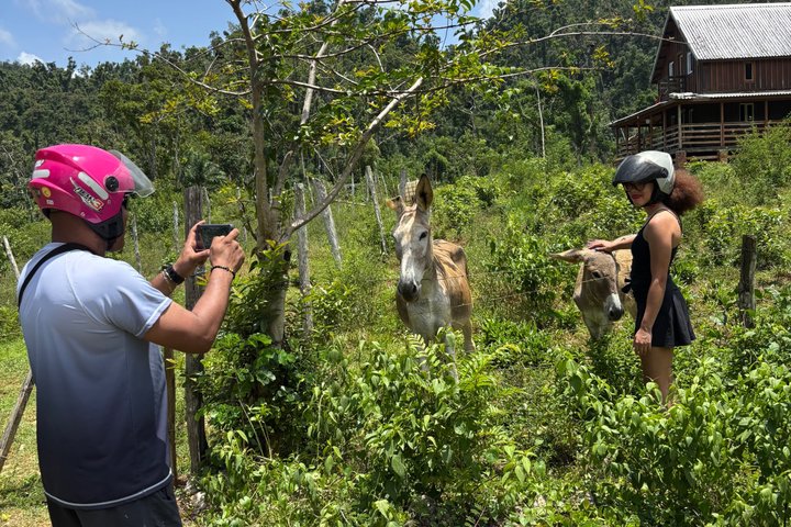 ATV Jungle Safari Tour from Montego Bay