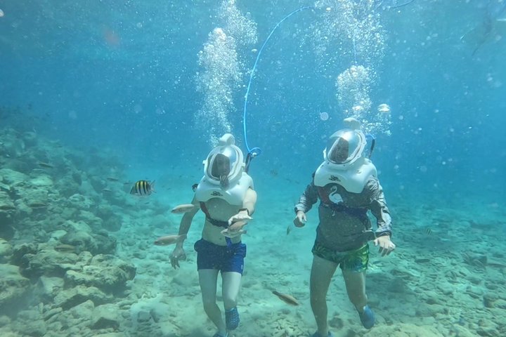 Sea TREK Curaçao: Underwater Helmet Walk, No Swimming Required
