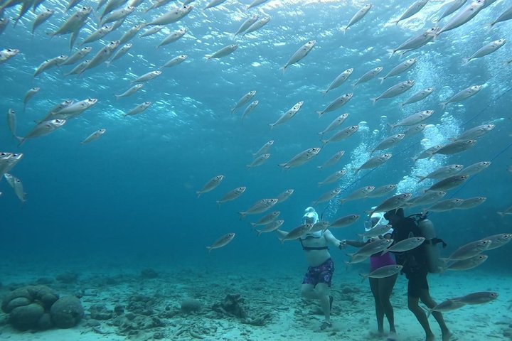 Sea TREK Curaçao: Underwater Helmet Walk, No Swimming Required