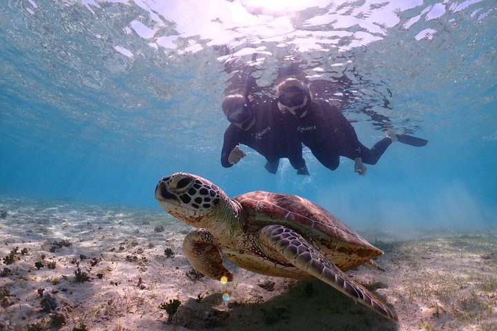 Miyakojima Private Snorkeling Tour | Fluent English Guide