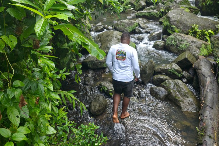 All Inclusive Dominica Majestic Exploration Small Group Tour