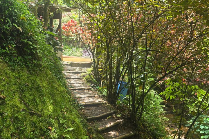 All Inclusive Dominica Majestic Exploration Small Group Tour