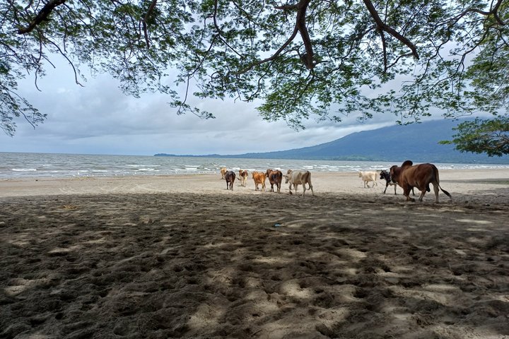 Ometepe Island Private Car Tour