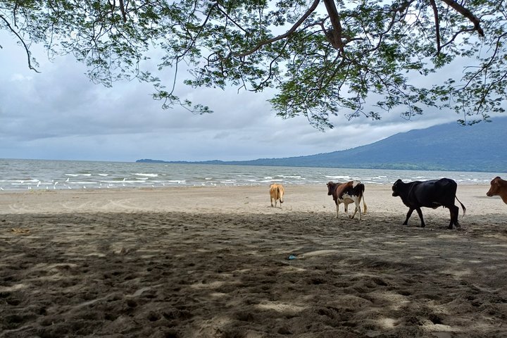 Ometepe Island Private Car Tour