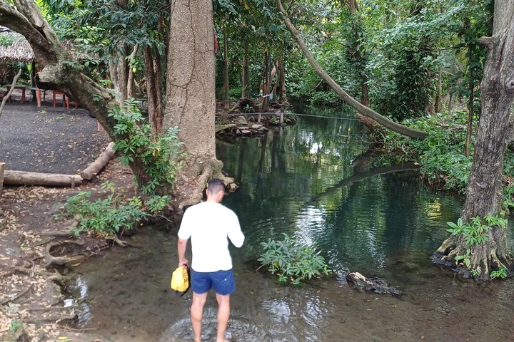 Ometepe Island Full-Day Tour