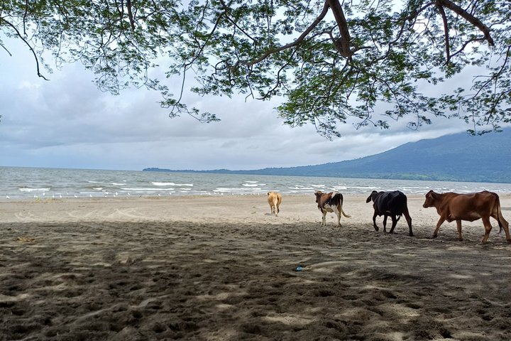 Ometepe Island Full-Day Tour
