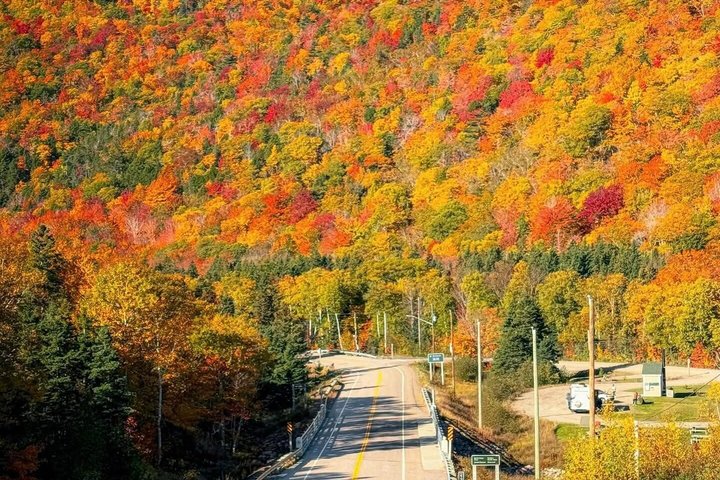 Cabot Trail: Green Cove excursion from port of Sydney Cape breton