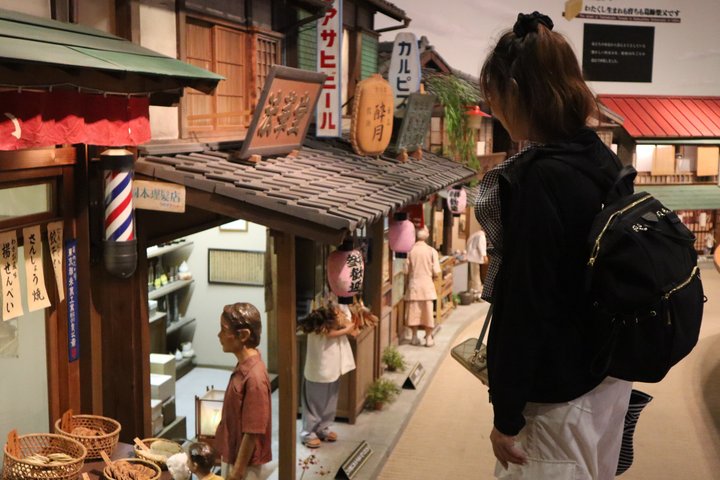 Tokyo Private Guided Tour of Historic Neighborhoods
