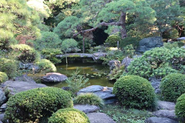 Tokyo Private Guided Tour of Historic Neighborhoods