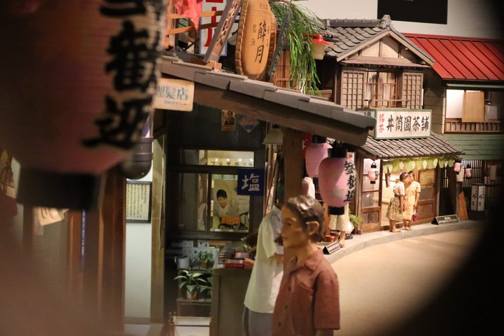 Tokyo Private Guided Tour of Historic Neighborhoods