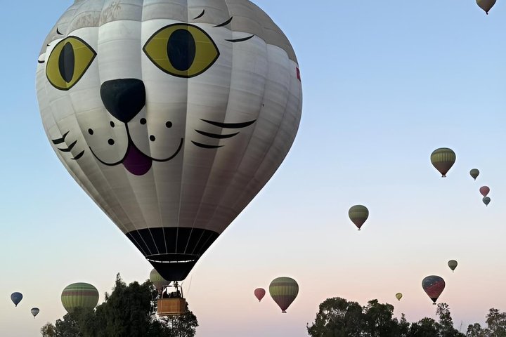 Marrakech Hot Air Balloon Ride (Small Group)