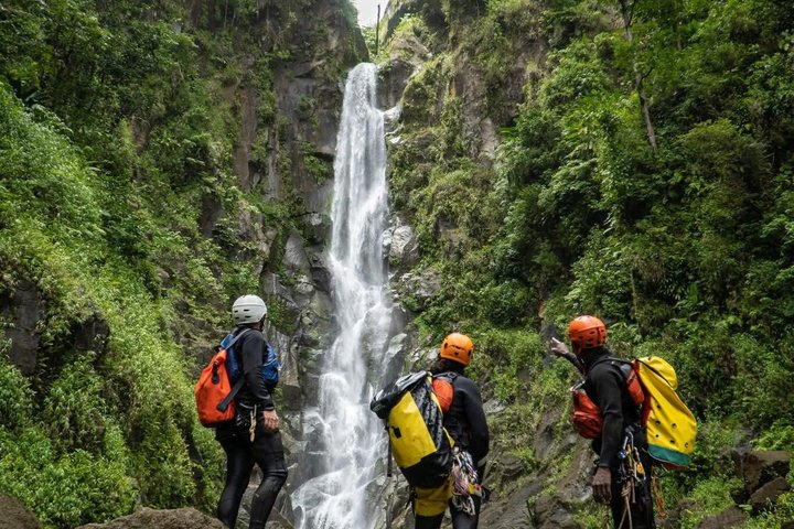 All Inclusive Dominica Majestic Exploration Small Group Tour