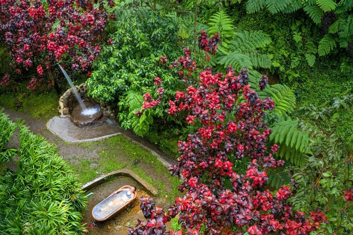 All Inclusive Dominica Majestic Exploration Small Group Tour