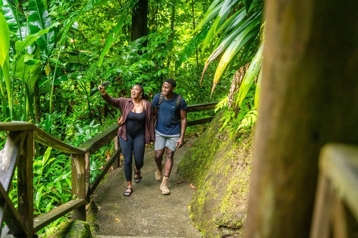 All Inclusive Dominica Majestic Exploration Small Group Tour