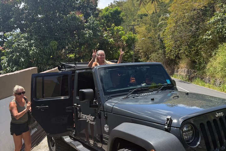 Half Day Private Tour in St. Lucia Jeep Wrangler