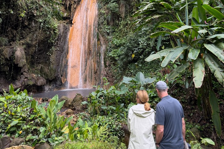 Half Day Private Tour in St. Lucia Jeep Wrangler