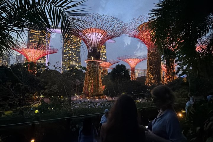 Singapore River Cruise, Night Garden Rhapsody & Spectra by CYT