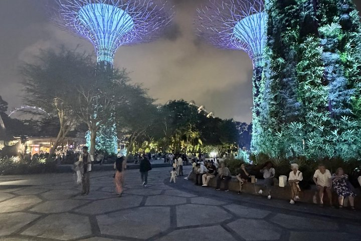Singapore River Cruise, Night Garden Rhapsody & Spectra by CYT
