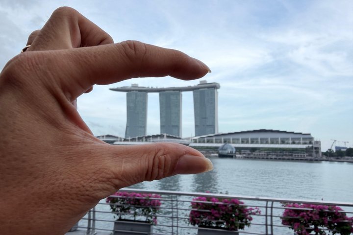 Singapore River Cruise, Night Garden Rhapsody & Spectra by CYT
