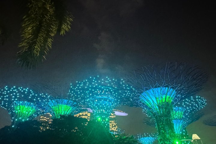 Singapore River Cruise, Night Garden Rhapsody & Spectra by CYT