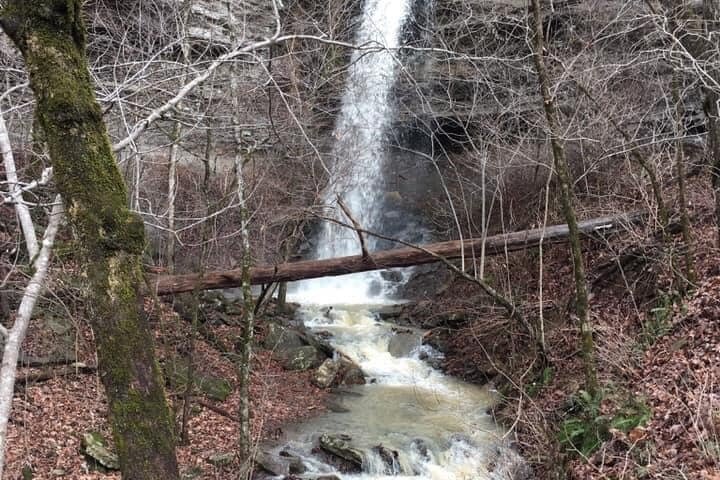 Guided UTV Adventure in Ozark National Forest