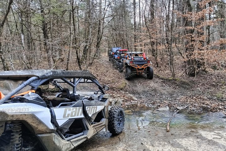Guided UTV Adventure in Ozark National Forest