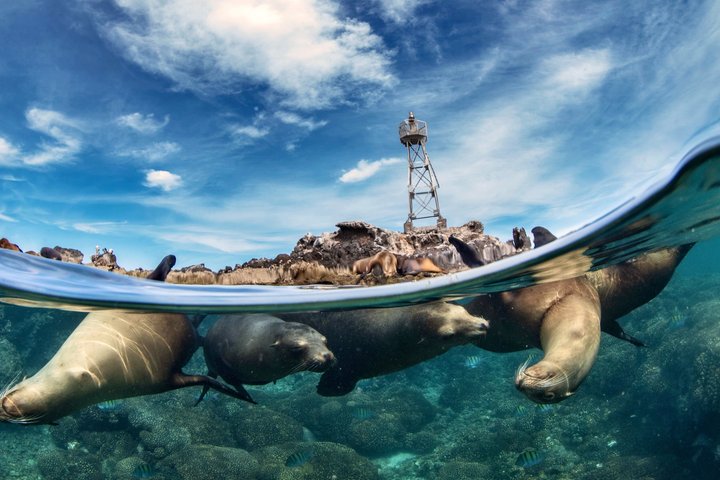Balandra adventure: sea lions, kayak, and hike in paradise